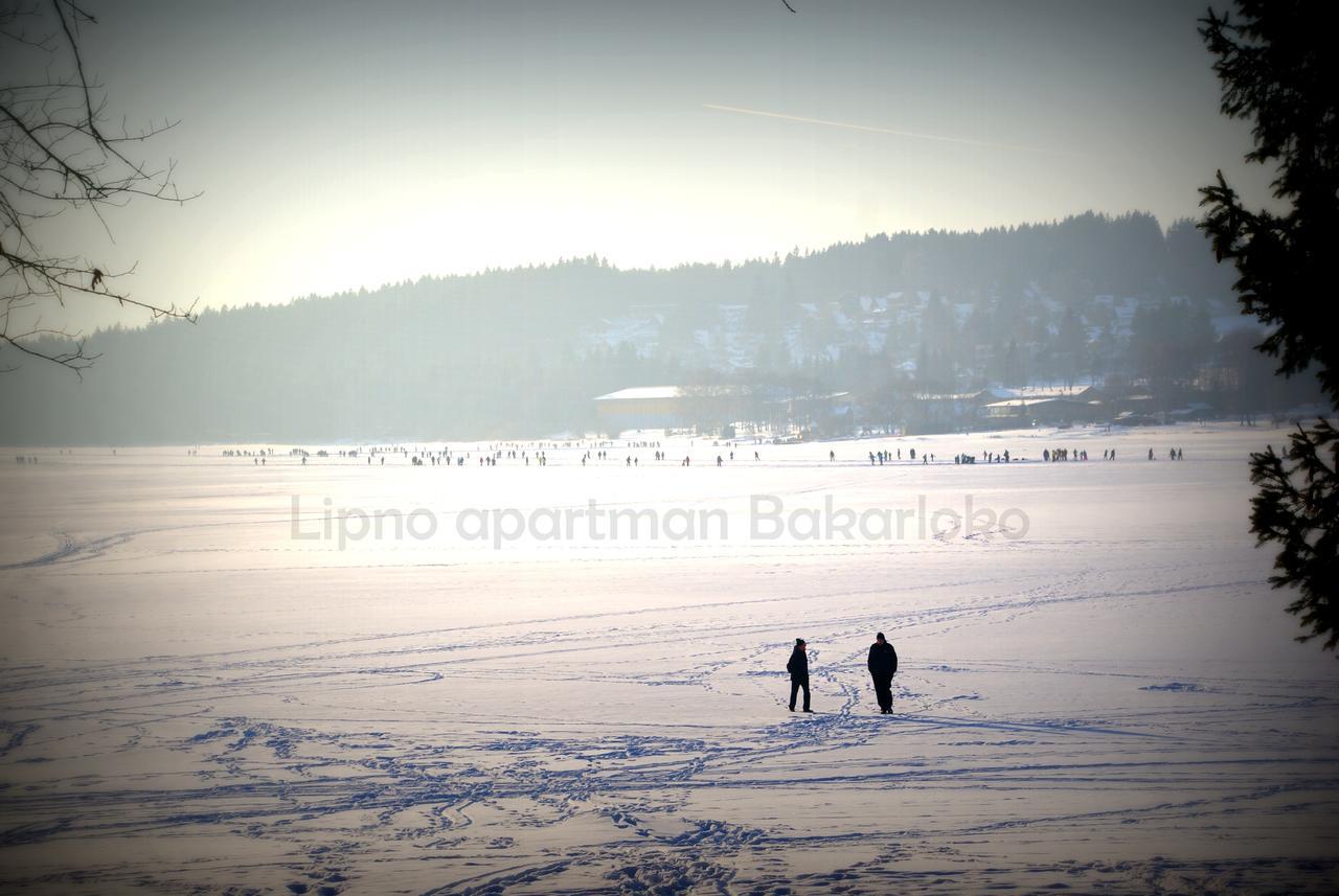 Bakarloko Lipno Apartments Lipno nad Vltavou Exterior foto